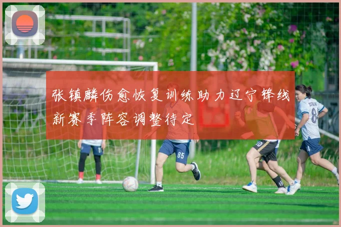 张镇麟伤愈恢复训练助力辽宁锋线新赛季阵容调整待定